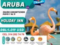 Aruba 4 noches mayo 7 - 11 con desayuno diario, traslado aeropuerto hotel aeropuerto y seguro medico al viajero. Info y reservas 3142827476 Of calle 14 Nª 14 - 21 centro Granada. #AriatoursteLleva.