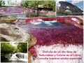 Dia llanero de colores con transporte desde Granada ida y regreso, ingreso a la puerta de Orion, macarenias de colores, tarde de baño en las cristalinas aguas, guia, asistencia médica y almuerzo tipico.. Valor por persona $280.000. Info y reservas 3142827476 Of calle 14 Nº 14 - 21 centro Granada. #AriatoursTeLleva.