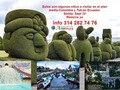 Si te perdiste el viaje al cafetero quizas consiga cupo para el destino de moda. Lo mejor del Huila, pradomar, el Venecia colombiano, Las Lajas, Tulcan Ecuador, basilica de Buga y parque extremo las Bailarinas. No te lo puedes perder, salida sept 22. Info y reservas 3142827476 Of calle 14 Nº 14 - 21 centro Granada. #AriatoursTeLleva.