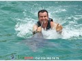 En Isla Margarita  Info y reservas314 2827476 Of calle 14 Nº 14 - 21 centro Granada Meta. #AriatoursTeLleva. En Ariatours No soñamos. Hacemos sus sueños realidad!!!