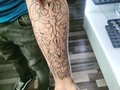 2023-02-11 01:46:26