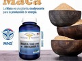 ✨Continuamos el mes de Junio pensando en ti 🤸🏻‍♀️🏋🏻‍♀️⛹🏻‍♀️🚴🏼‍♂️🏊🏾‍♂️!!! Solo en @armonianatural @armonianatural 🍃🌾🌿 con mas nuevos productos para tu cuerpo y bienestar de tu salud ❤️👦🏻👱🏻‍♀️👴🏼👵🏻 siempre estamos pensando en ti 🤸🏻‍♀️🏋🏻‍♀️⛹🏼‍♀️🚴‍♀️⛹🏼Comunicate con nosotros ☎️ Info y pedidos: 📱Cel / Whapp 310 825 5253📲314 636 4459 Tel fijo sede ppal: ☎(2)4839778 Presencia directa en Cali, Medellín y Bogotá 🌐Visítanos en:WWW.ARMONIANATURALDIETSHOP.COM 🍏 #weightloss #armonianaturaldietshop #toptags #getfit #weightlossjourney #macaperuana #health #brandnewlife #fitfood #gettingfit #healthy #gettinglean #loveyourself #aminoacidos #glutamine #wlseats #getfitordietrying #activeliving #loseweight #eatclean #fatburning #maca #fatloss #fitfam #training #makeithappen #fitlife