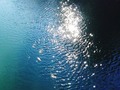 Sparkling River by Mimulux patricia No