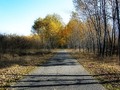 Autumn Countryside by Mimulux patricia No