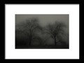 Fog 009 Framed Print by Mimulux patricia No