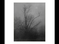 Nebelbild 13 - Fog Image 13 Framed Print by Mimulux Patricia No