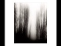 Fog 004 Framed Print by Mimulux Patricia No