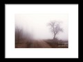 Fog 003 Framed Print by Mimulux Patricia No