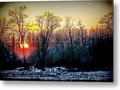 Just Another Sunset Metal Print by Mimulux Patricia No