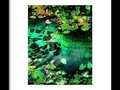 Lily Pond Framed Print by Mimulux Patricia No