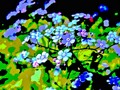 Art of the Day: "Forget-Me-Nots". Buy at:
