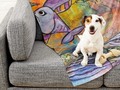 Grumpy Fish Pet Blanket by mimulux