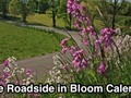 FREE 2019 Roadsides in Bloom Calendar