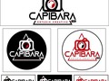 Creación de Logotipo e Identidad para @capibara.rec 🎥📷  #imagencorporativa #logotipo #creaciondeidentidad #paletadecolores #estudiocreativo #chile #santiagodechile