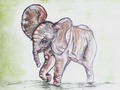 Hello world! #elephant #photoark #aquarelle #watercolors #sketchbook #art #africa