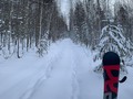 «Здесь волки делают AUX» 😎☝🏽#headsnowboard #volchiha #ekaterinburg