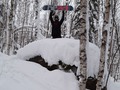 Губаха✔️Снег✔️Лес✔️ #headsnowboard #gubaha #perm