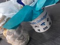 El día de hoy.  Un gran dia para muchos y para mi fue lo máximo!! Le hicieron las 17 extracciones a Carmen. Fue lo mejor que le pudimos hacer ahora falta las prótesis!! Asinque si conoces de alguien que pueda ayudarnos, nombrarlo aquí abajo!!! Gracias doctor Simón y Mariannys por su ayuda y dedicación 💙💙💙