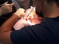 El día de hoy.  Un gran dia para muchos y para mi fue lo máximo!! Le hicieron las 17 extracciones a Carmen. Fue lo mejor que le pudimos hacer ahora falta las prótesis!! Asinque si conoces de alguien que pueda ayudarnos, nombrarlo aquí abajo!!! Gracias doctor Simón y Mariannys por su ayuda y dedicación 💙💙💙