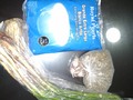 Gracias señor Miguel por su ayuda... Estamos en busca de verduras, aliños, envases con tapa, carne, pollo, gallina, granos, frutas... para nuestra sopita del sábado. Se parte, colabora!!!