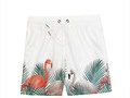 NEW Collection  BÁBACO®️ Shorts / PRINTS  : . . Shop🏠 Av. 9A No. 10-108 Br. Granada  10:30AM - 7:00PM : B Á B A C O 🆕🆕🆕 🤜🏼🤛🏼  : . ✈️📦 Realizamos envíos a todo el país 🇨🇴  #ropaparaplaya #calicolombia🇨🇴❤️ #man #bañadores #masculino #sol #mar #flamingo