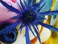 Las flores de cardo le dan a nuestros cakes un toquesito azulado que, personalmente, me gusta mucho
