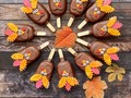 Thanksgiving Cakesicles 🦃🍂🦃🍂