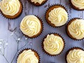 Vanilla Cupcakes