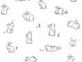 🐰🐇🐰🐇🐰🐇🐰🐇