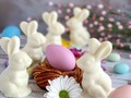 Conejitos Blancos 🐇