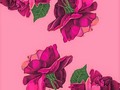 🌹