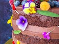 Alegre y tropical #nakedcake