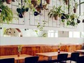 Jardines internos una idea fantástica para ambientar espacios a bajo costo
