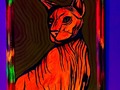 Don gato bajo luz negra #gato    El gato vive solo. No necesita sociedad alguna. Solo obedece cuando quiere, o simula dormir para observar mejor y araña todo cuanto puede arañar. (François René de Chateaubriand)