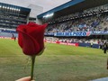 Apoyándote siempre  #viejoamigo CSEmelec #Emelec  #HappyMothersDay #cancha #estadio