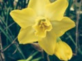 Spring delight!