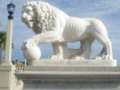 "Bridge of Lions"