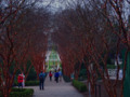 A walk thru the " Gardens Lights" in Atlanta Botanical Garden.