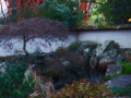 "the Garden Lights" Atlanta Botanical Garden.