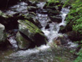 Small part of the Anna Ruby Falls, Ga