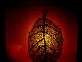 Amber glow
