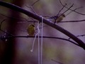 A branch meeting...