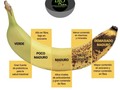 Cada momento del ciclo del banano vale la pena aprovecharlo.  Nuestra harina de plátano es de plátano hartón, y al utilizar el plátano en su estado verde se resaltan varias propiedades.  *Mayor almidon *Mayor fibra *Mayor consistencia *Menos azúcar *Vitaminas y minerales  Úsala en panadería, pastelería, o en la famosa colada de la abuela 👵 😋  Nota:El banano maduro sirve como reemplazo del huevo en panadería/pastelería.   Harina de plátano hartón es 💯 libre de gluten Consiguela en