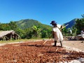 #cacao #cacaoceremony #cacaosierranevadadesantamarta