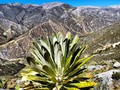 Así es mi tierra ❤️💚
