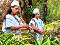 La naturaleza y su sabiduría nos permiten mantener la vida en equilibrio.