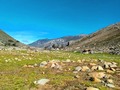 Orgulloso de la Tierra que me vió nacer. Recordar la tierra que te vió nacer, es emocionarse estando nuevamente frente a esta gente, tierra, sierra, caminos. Es tanto como sentirte extranjero en tu propia tierra y encontrar información con los lugareños prestos a platicar, pero como dice el dicho Viajar es vivir, no sé si en este caso sea razonadamente cierto ya que vivir realmente es estar en este paraíso terrenal, en cual, uno considera que existen muy pocos en el mundo. Si bien es cierto el salir de esta tierra uno aprende muchas cosas útiles y con las ansias de que sean ventajosas también para los que viven en las ciudades, sin embargo no pierdo de vista ese periodo de adaptación entre la gente campesina y gente citadina en donde se conjuga el interés cultural de origen, entre lo que se está viviendo y en donde terminamos por vivir sobre todo confirmar que las raíces en lo que se aprende, Jamás se olvidan, por más adaptación que tengamos, en la tierra que nos vió nacer esta pueblo, familia, ombligo y las emociones. Antes que abandonar mi tierra por supuesta, oportunidad y mejor calidad de vida y empezar a cerrarme, solo con el fin de adaptarme a una vida apresurada y afanada y cada vez ver y observar menos, prefiero seguir viendo mi Tierra con ojos de Turista y gozar y vivir cada momento de su grandeza y belleza.