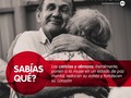 Cuando abrazamos y nos abrazan todos los órganos de nuestro sistema se activan: el corazón, el cerebro, los sensores de nuestra piel y nuestro sistema endocrino. Este gesto nos beneficia con una energía extra y una sensación de paz y equilibrio. #abraza #MiRed #MiRedIPS #CuidamosTuSalud #Barranquilla