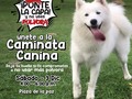 Ven a la caminata canina y acompáñanos con tu perrito y deja tu huella por el no uso de la pólvora en estas navidades. Con la pólvora no se juega #Pontelacapa #miredips #cuidadetuhijos #barranquilla @alcaldiabarranquilla @secsaludbaq