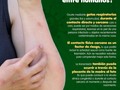 🚨📢 La viruela símica es una enfermedad de transmisión ¡Reconoce los síntomas y acércate a cualquier PASO o CAMINO! Sigue las medidas de autocuidado 😷🧍‍♀️↔️🧍‍♂️✋ 🧼 🤚.  📌Recuerda: La viruela del mono no es una enfermedad de transmisión sexual, ni exclusiva de un grupo poblacional, todos debemos cuidarnos.  Si usted es sexualmente activo, puede hacer las siguientes cosas para disminuir las probabilidades de contraer una ETS, el VIH y la Viruela símica .  * Elija actividades sexuales de menor riesgo. * Use un condón nuevo para cada acto sexual vaginal, anal u oral y durante todo el acto sexual (de principio a fin). * Reduzca la cantidad de personas con las que tiene relaciones sexuales. * Limite o elimine el consumo de drogas y alcohol antes de tener relaciones sexuales y durante estas. * Hablé frentiao! y tenga una conversación franca y abierta con su doctor en cualquiera de nuestros PASOS y CAMINOS y pregúntele lo necesario para tener una vida sexual sana.  🔴🔴 Si necesitas información, puedes comunicarte con nuestro call Center 605 319 8720 y al WhatsAPP 315 4056834 ¡Estamos para atenderte!   MiRed IPS vive contigo la magia de una sana navidad, y ponte la capa y se le héroe de familia y comunidad.  #pontelacapa y cuida tu salud  #pontelacapa #vidasexualsana #ets #vih #viruelasimica #nopolvoraestanavidad #nopolvora #soyarte #follow #dependedeti #prevenirloestaentusmanos #iluminatuvida #cuidemonostodos #haztuparte #MiRed #MiRedIPS #CuidamosTuSalud #barranquilla